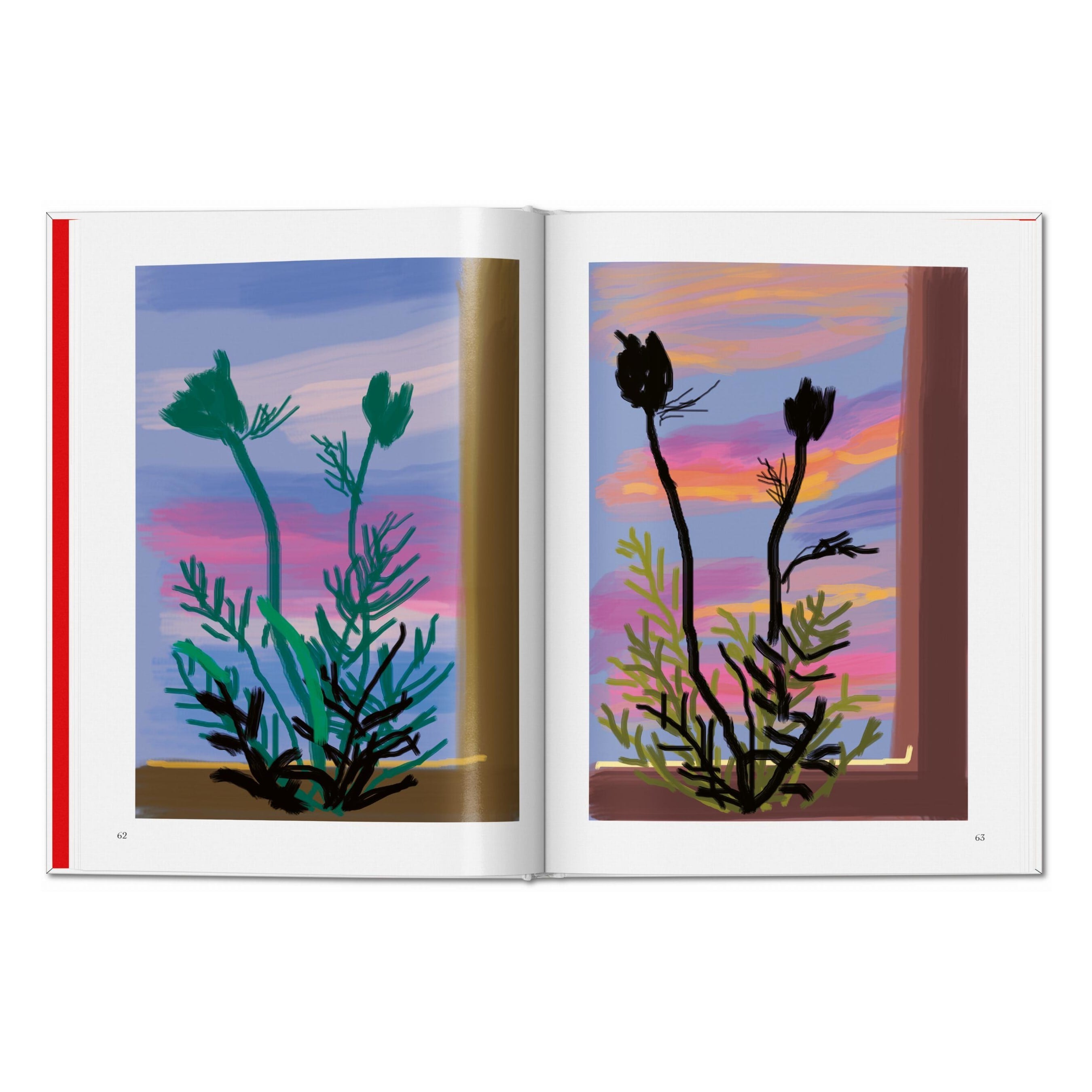 David Hockney: My Window