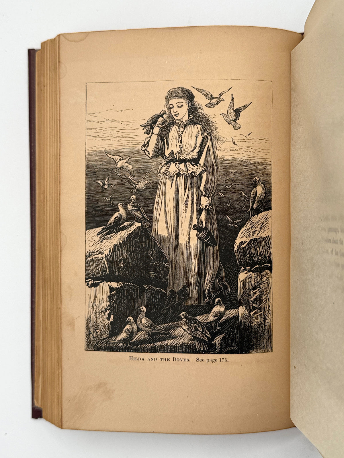 The Marble Faun, Nathaniel Hawthorne (1872)