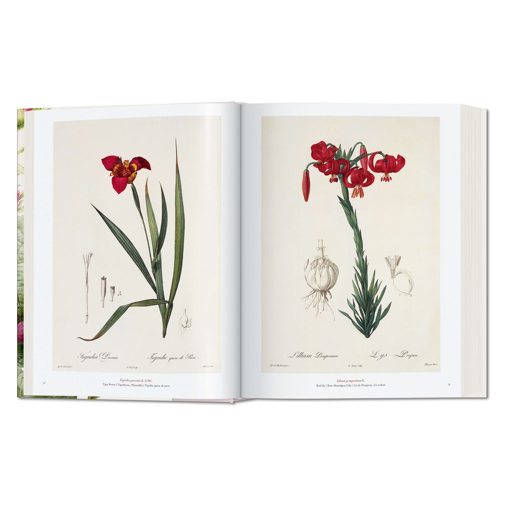 Redouté: The Book of Flowers (German, French, English)