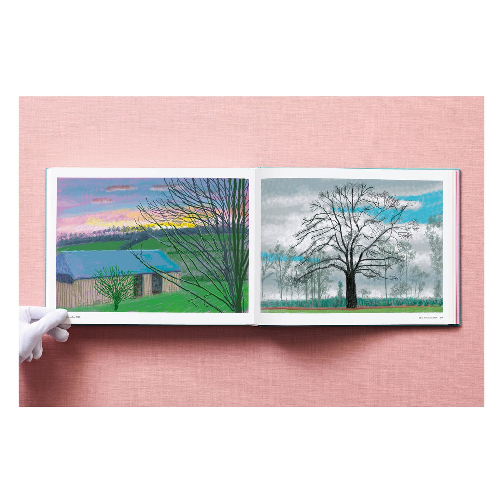 David Hockney: 220 for 2020