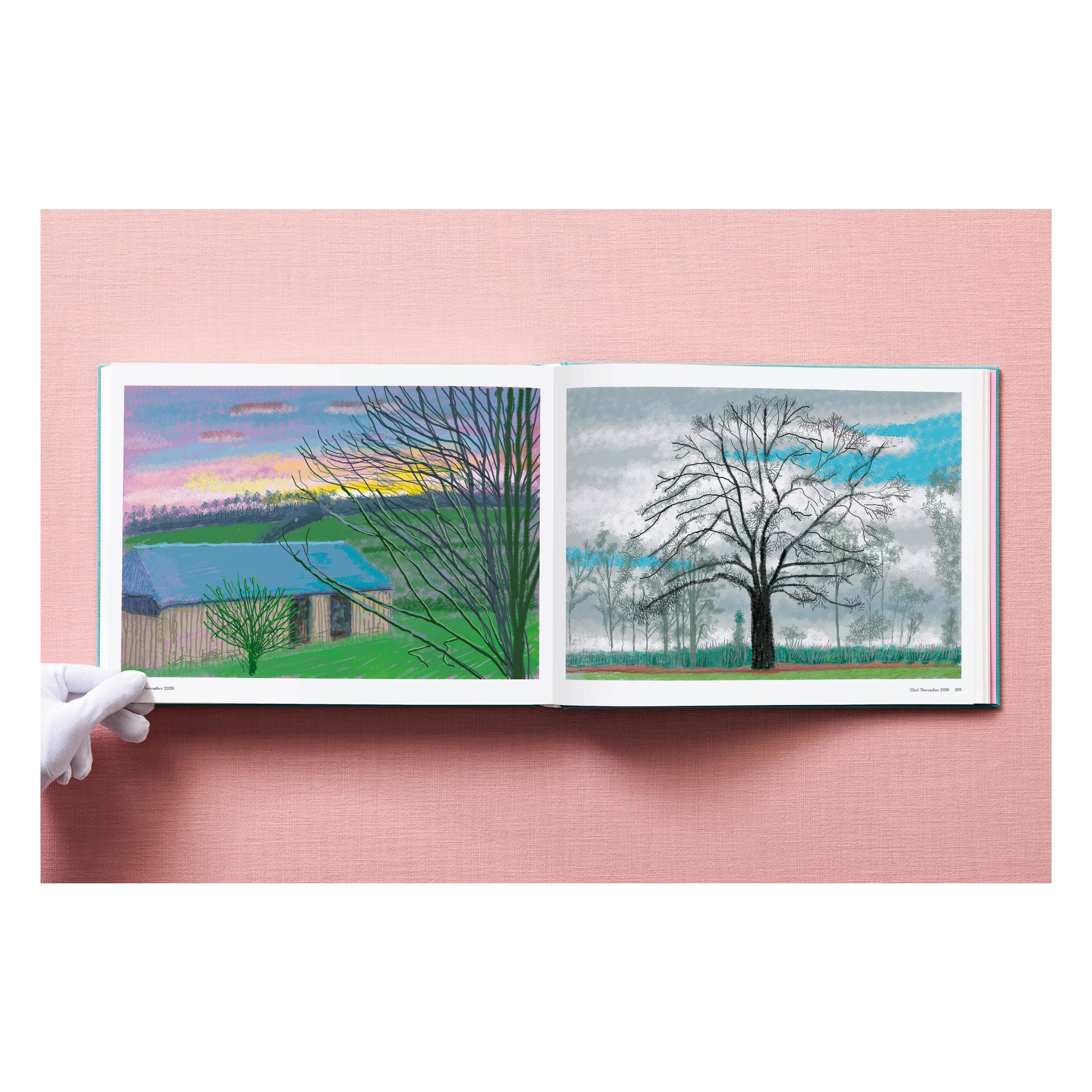 David Hockney: 220 for 2020