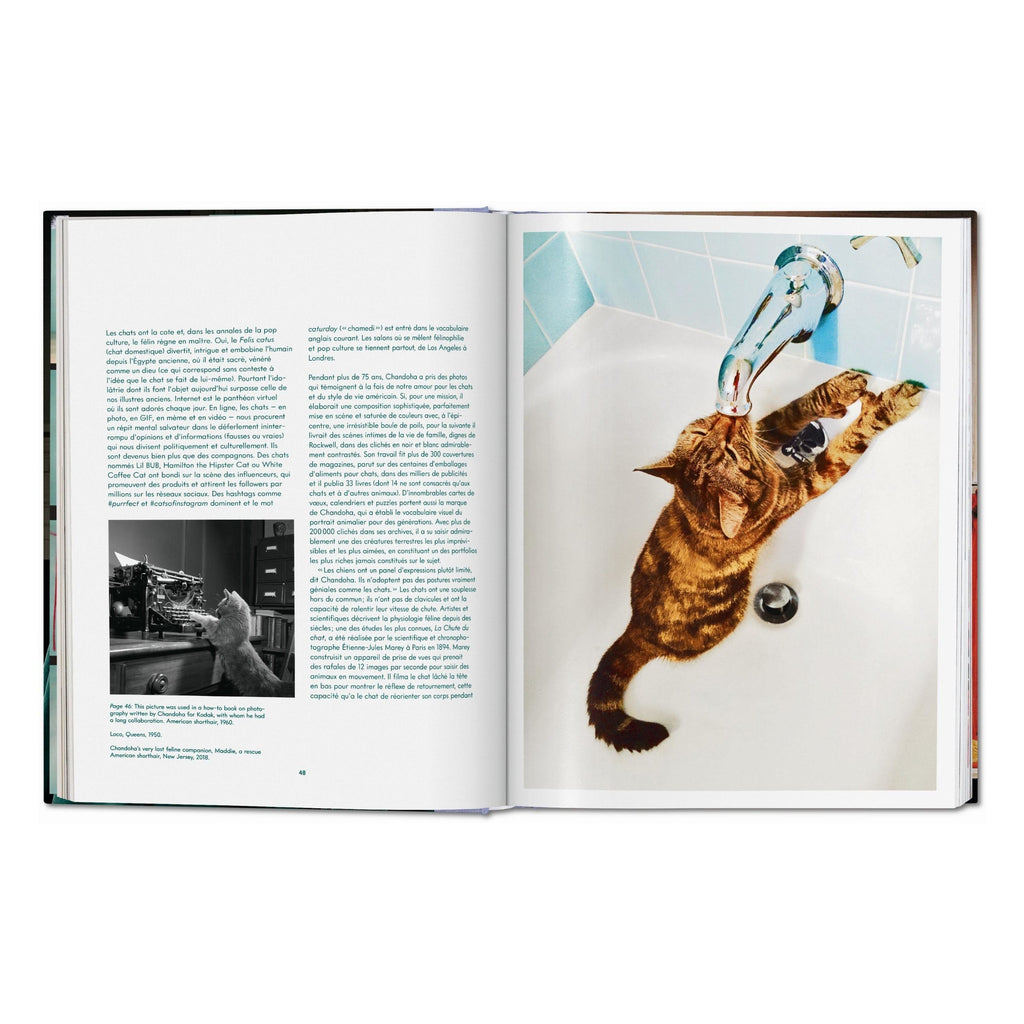 Walter Chandoha: Cats, Photographs 1942–2018 (German, French, English)