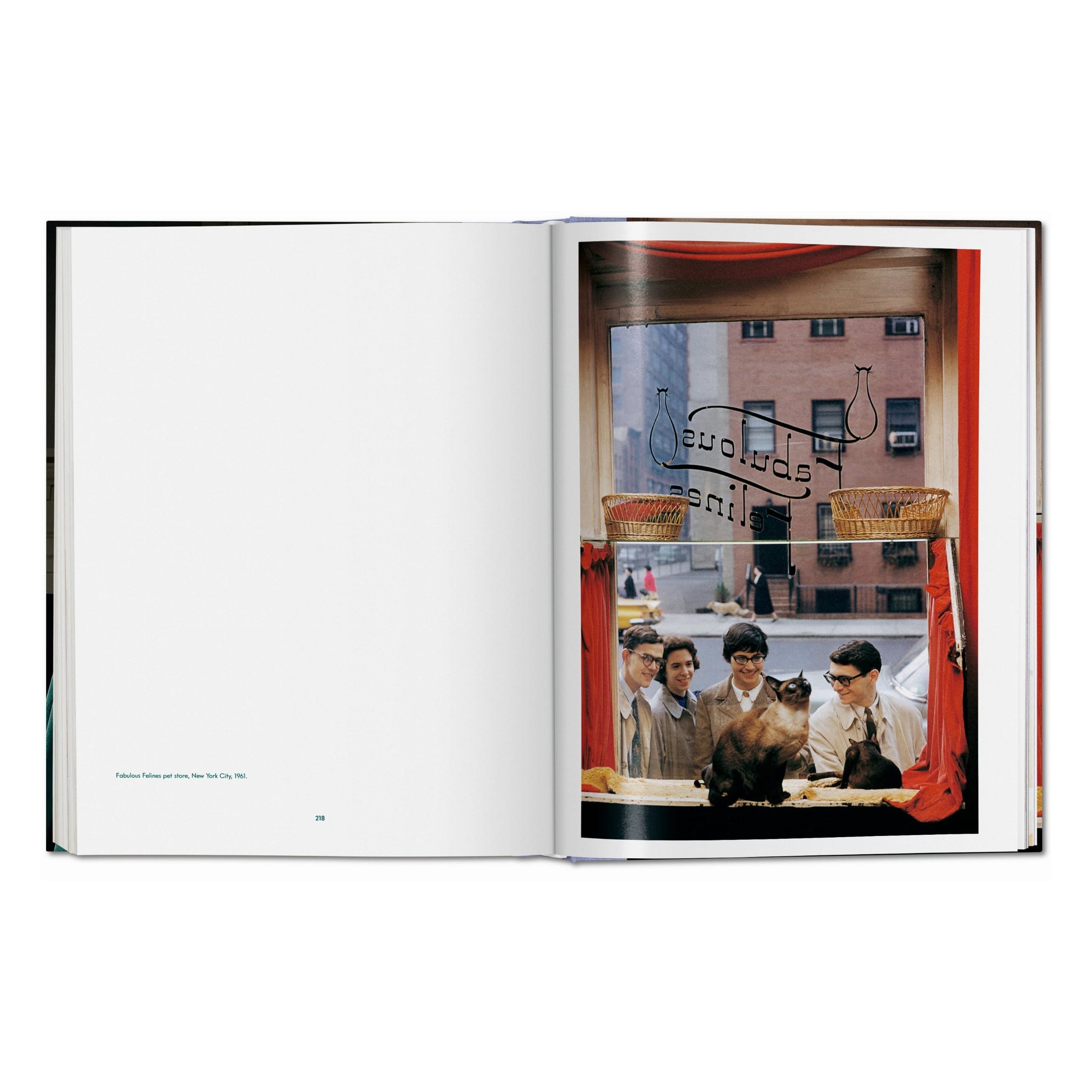 Walter Chandoha: Cats, Photographs 1942–2018 (German, French, English)