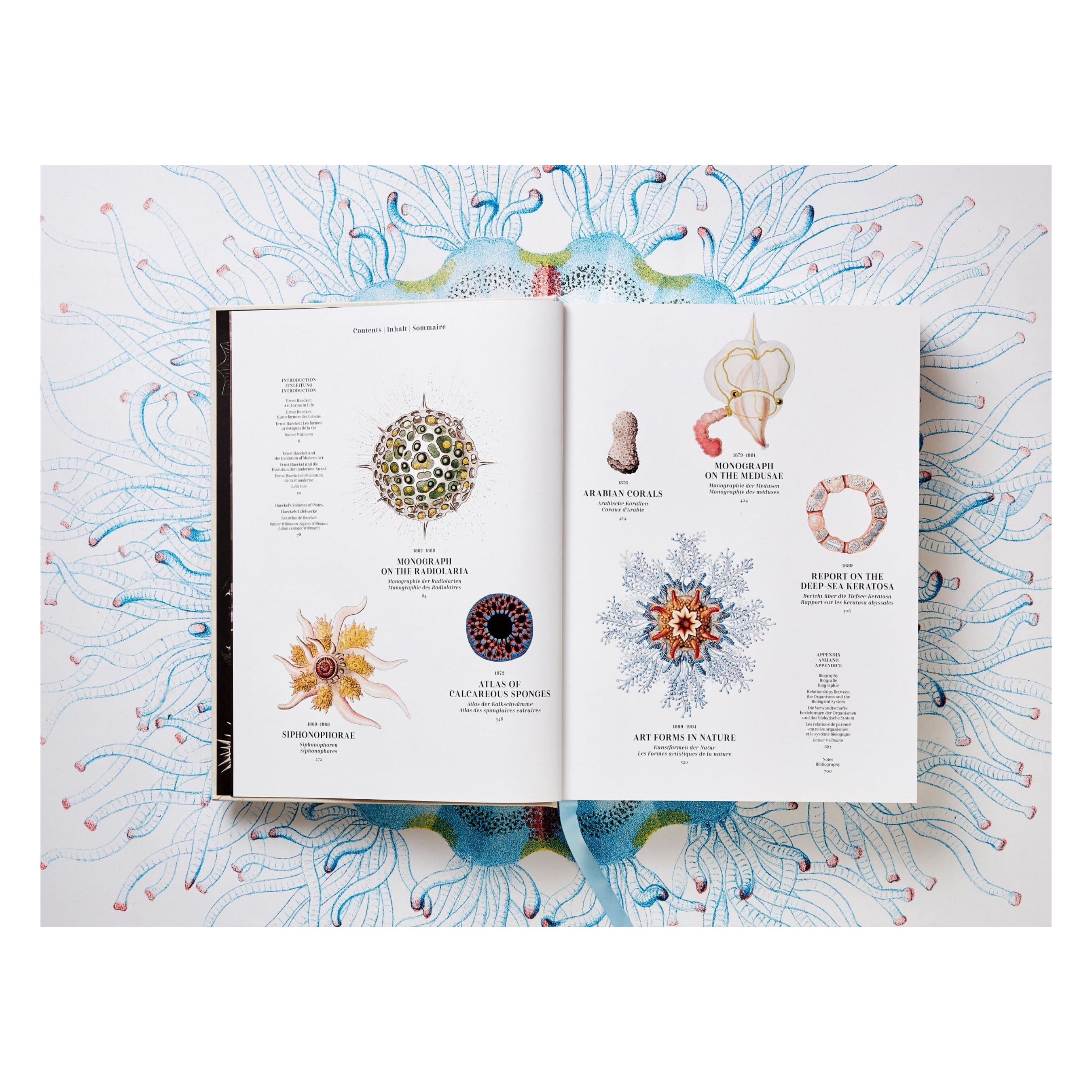 The Art and Science of Ernst Haeckel (German, French, English)