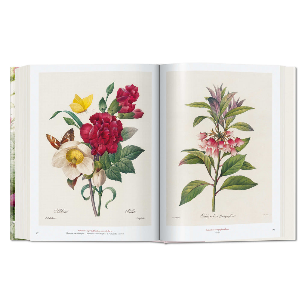 Redouté: The Book of Flowers (German, French, English)
