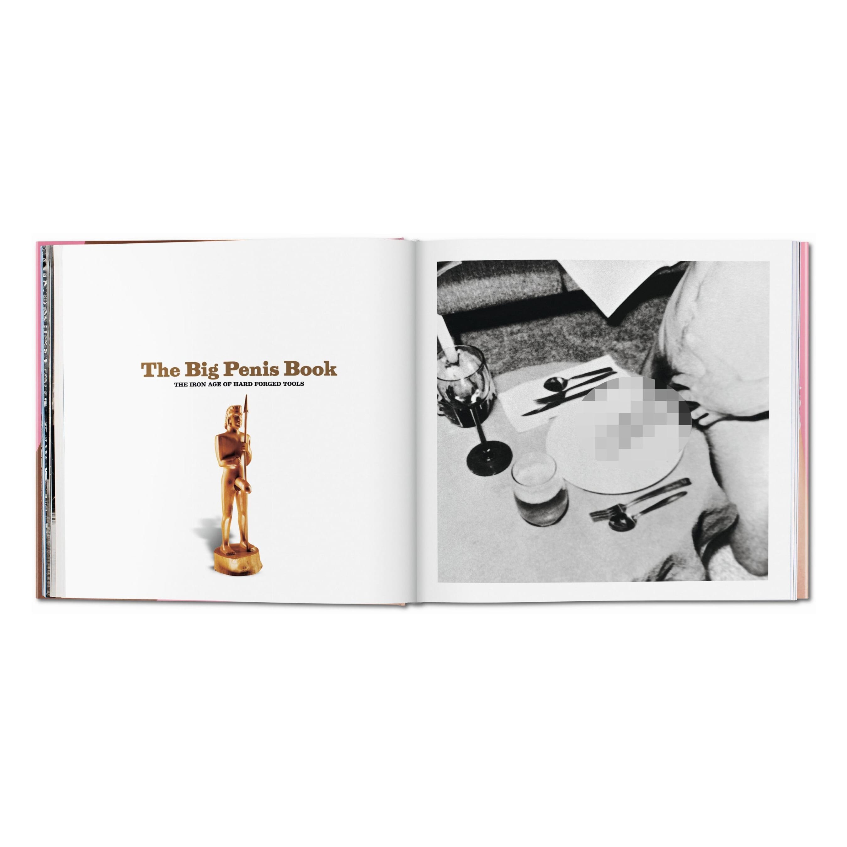 The Big Penis Book (German, French, English)