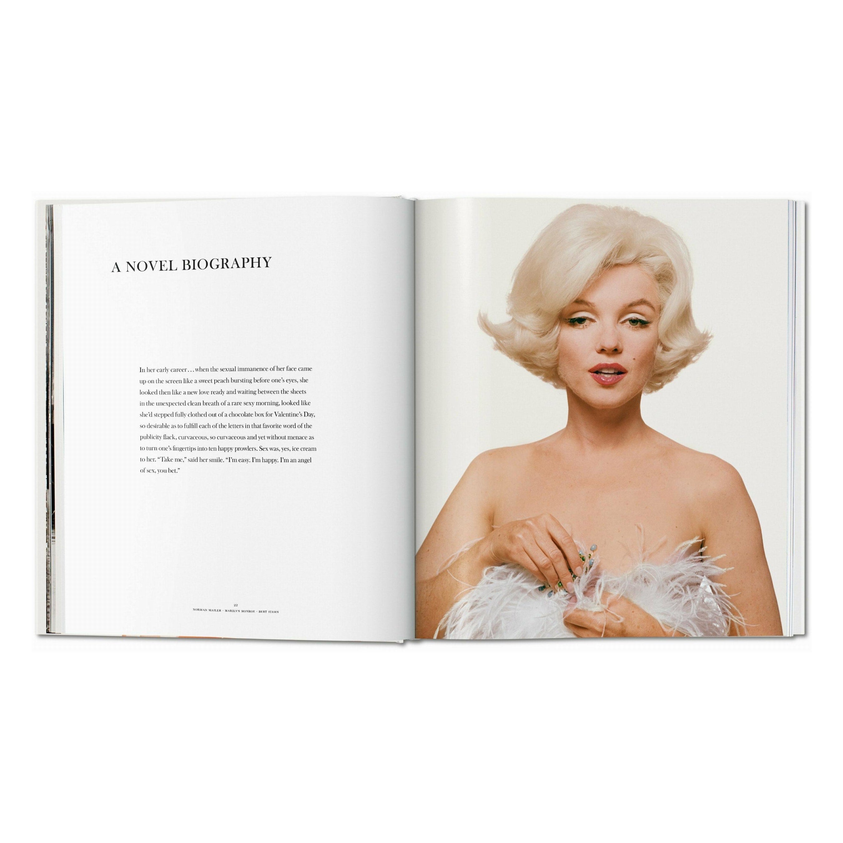 Norman Mailer: Bert Stern. Marilyn Monroe (English)
