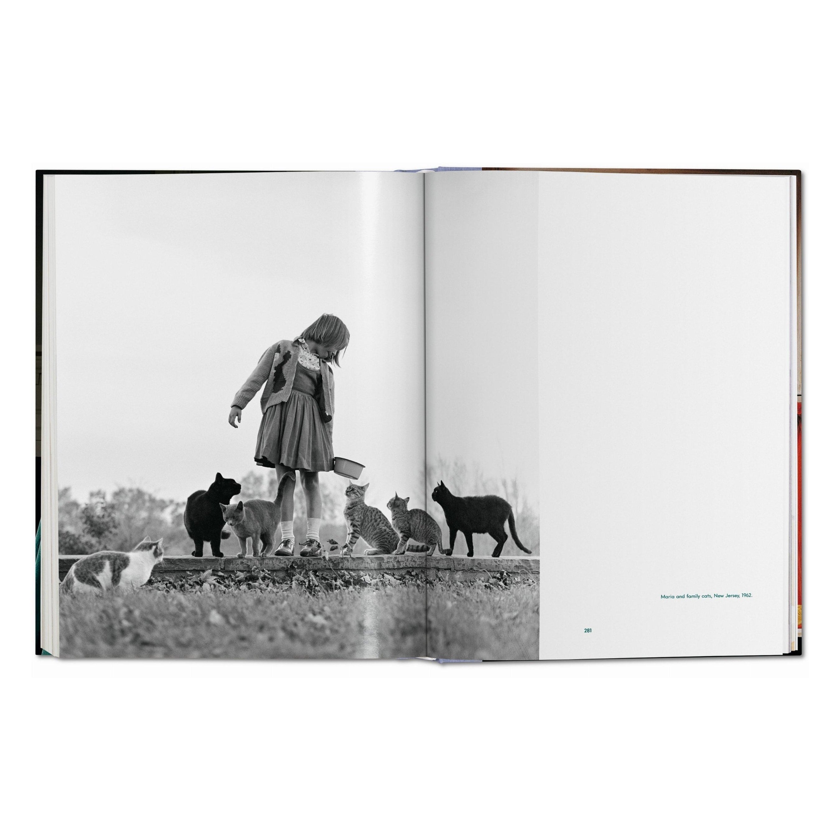 Walter Chandoha: Cats, Photographs 1942–2018 (German, French, English)