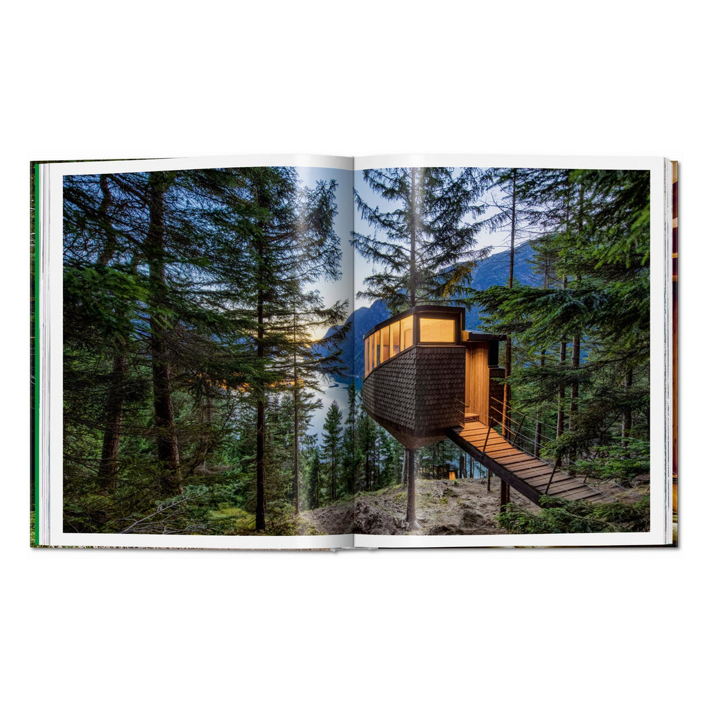Modern Tree Houses