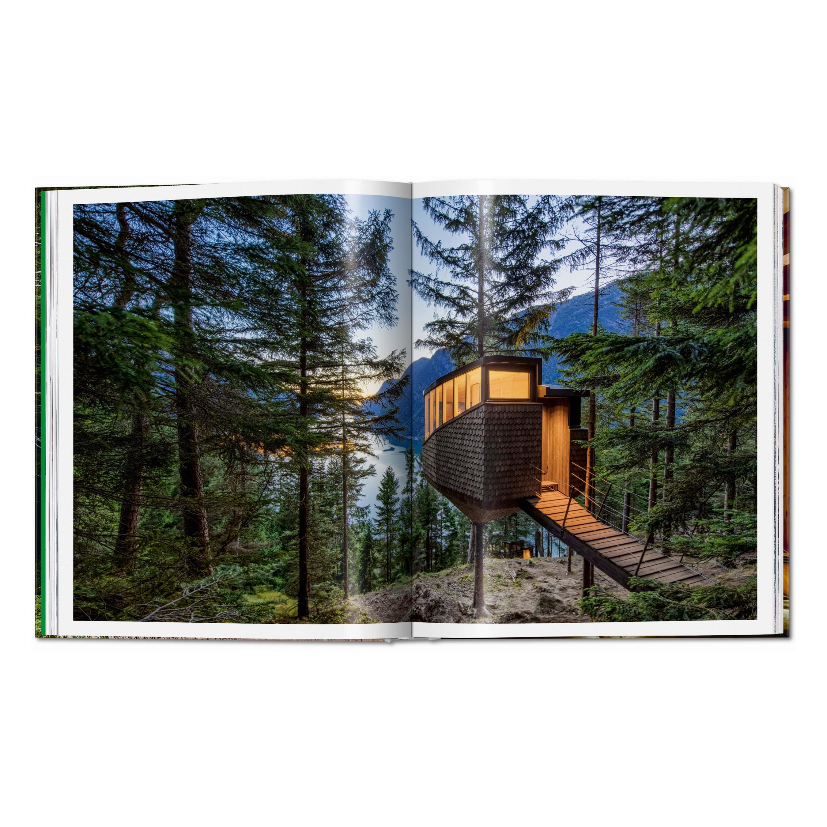 Modern Tree Houses