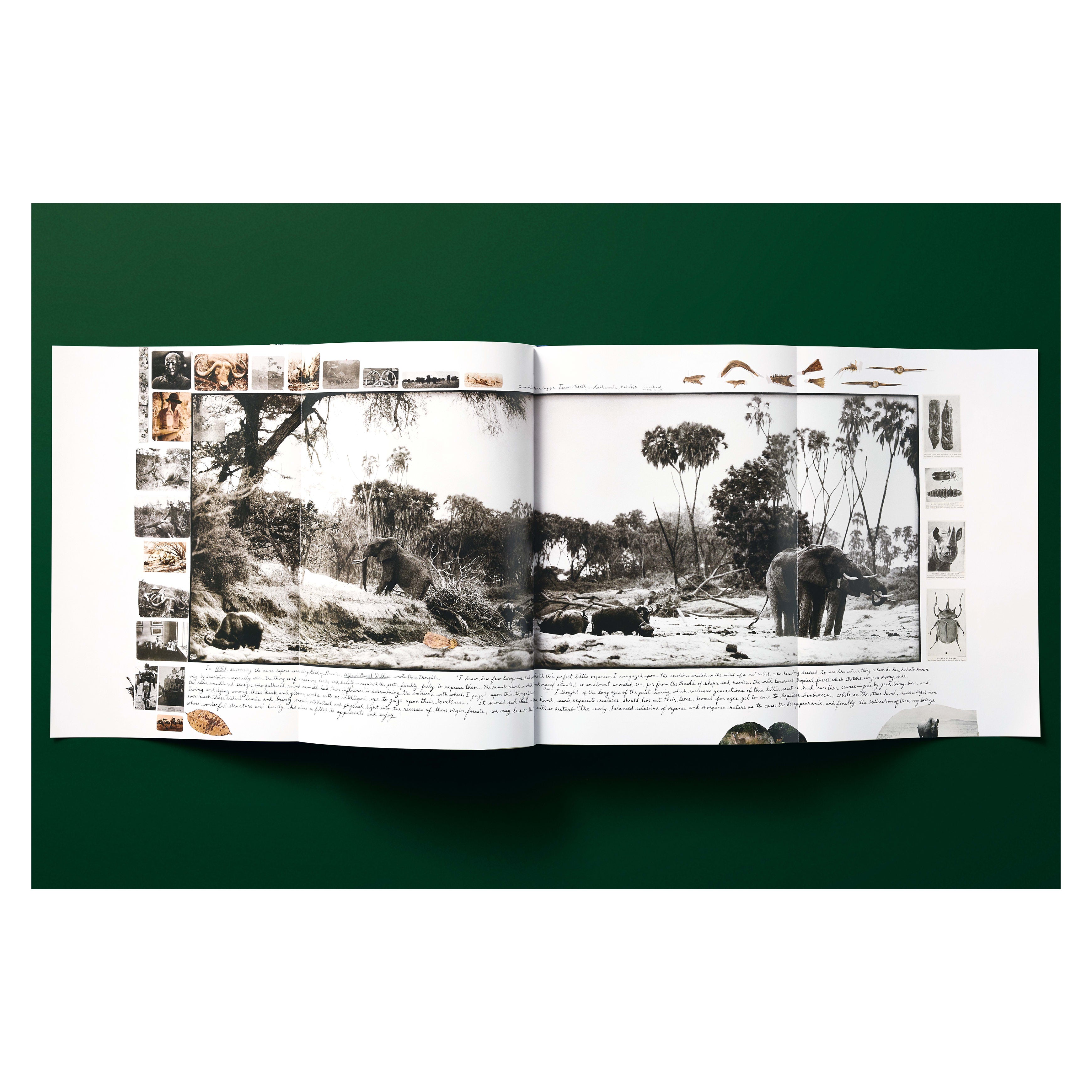 Peter Beard (German, French, English)
