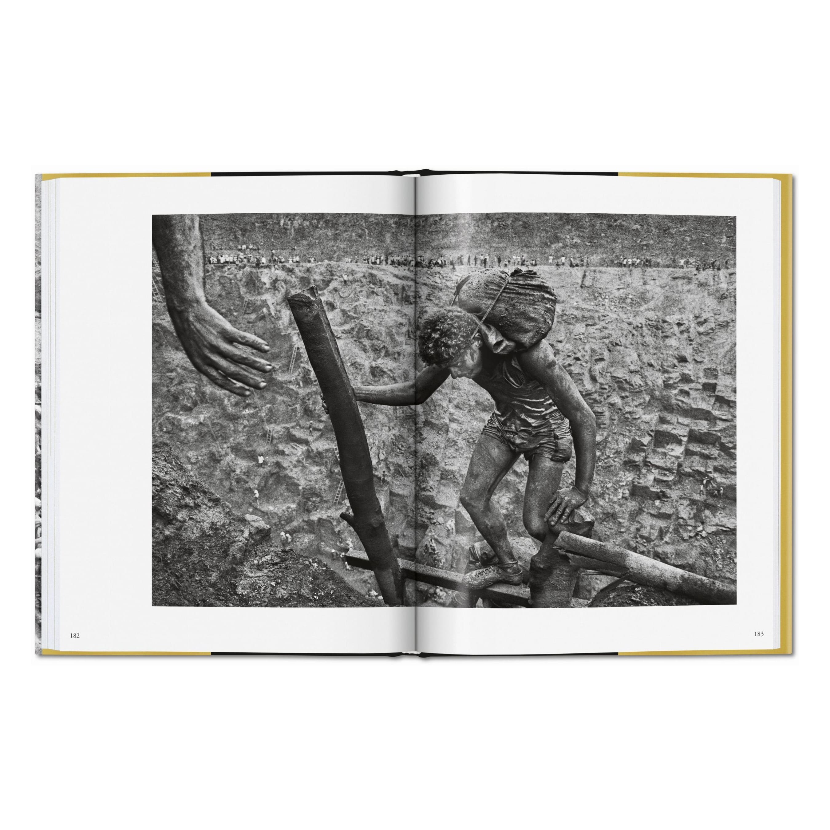 Sebastião Salgado: Gold (German, French, English)