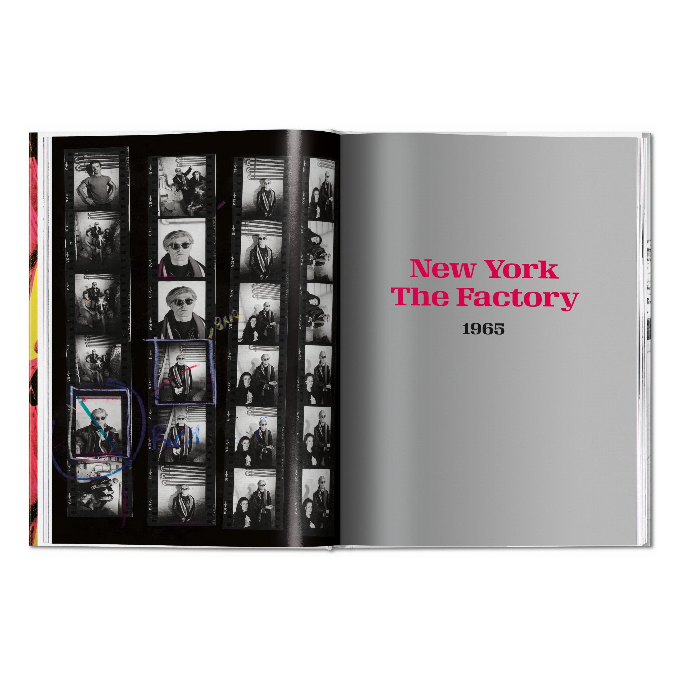 Steve Schapiro: Andy Warhol and Friends