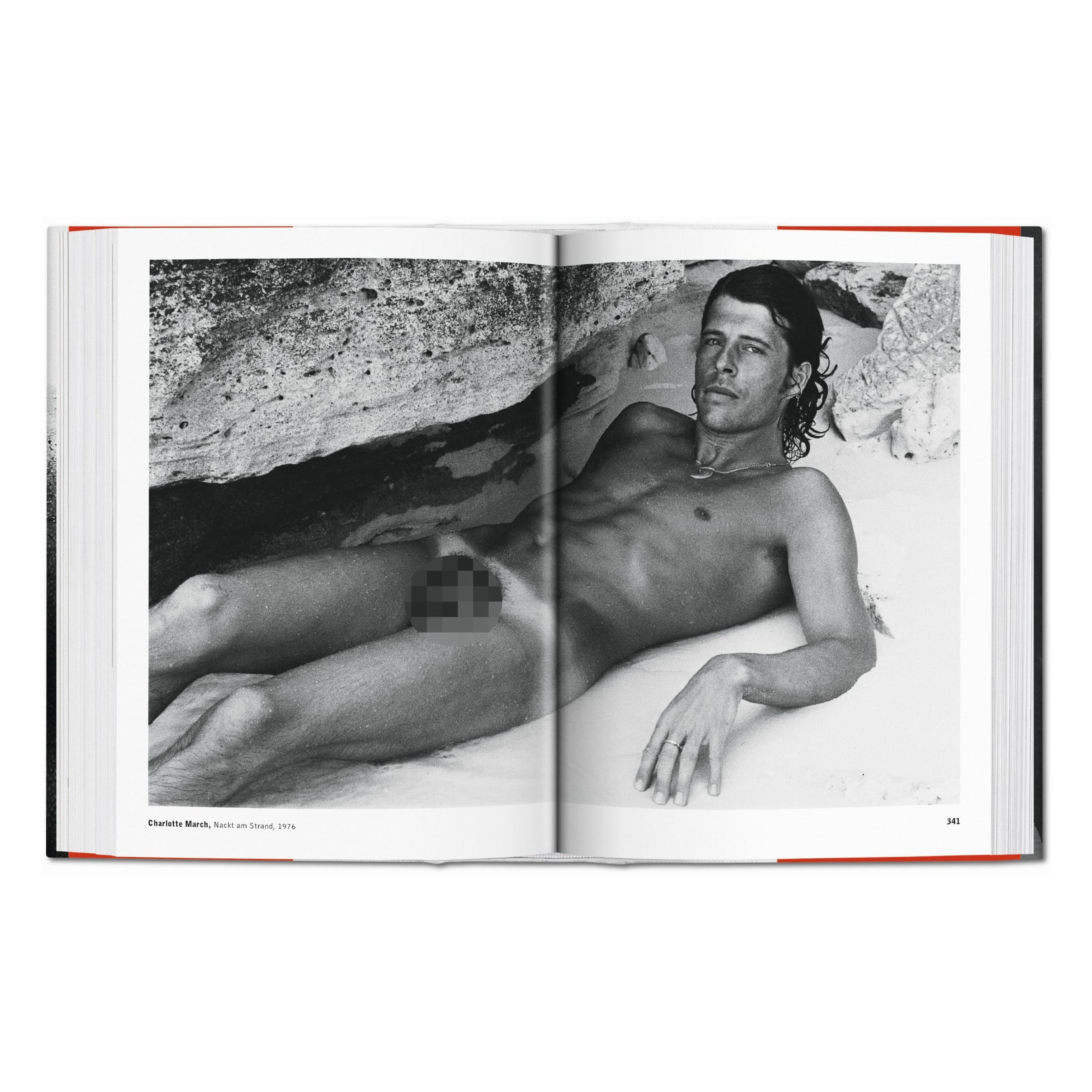 The Male Nude (German, French, English)