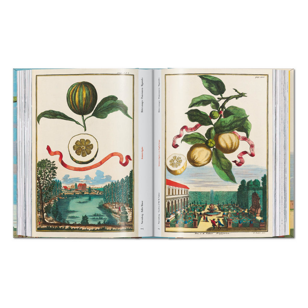 J. C. Volkamer: The Book of Citrus Fruits, 45th Ed. (German, French, English)