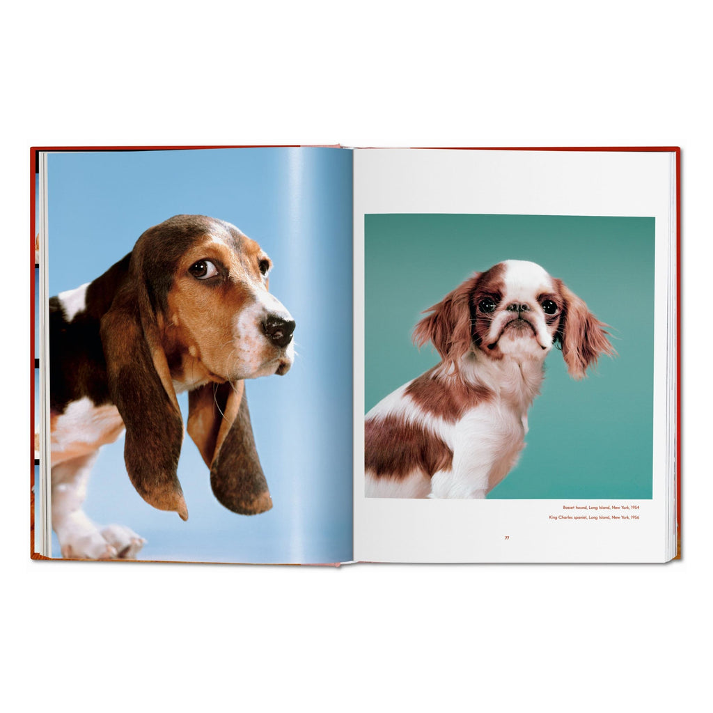 Walter Chandoha: Dogs. Photographs 1941–1991 (German, French, English)