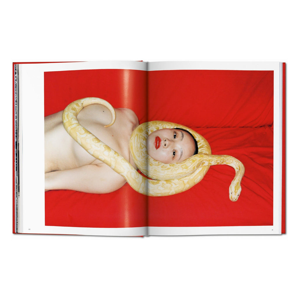 Ren Hang (German, French, English)