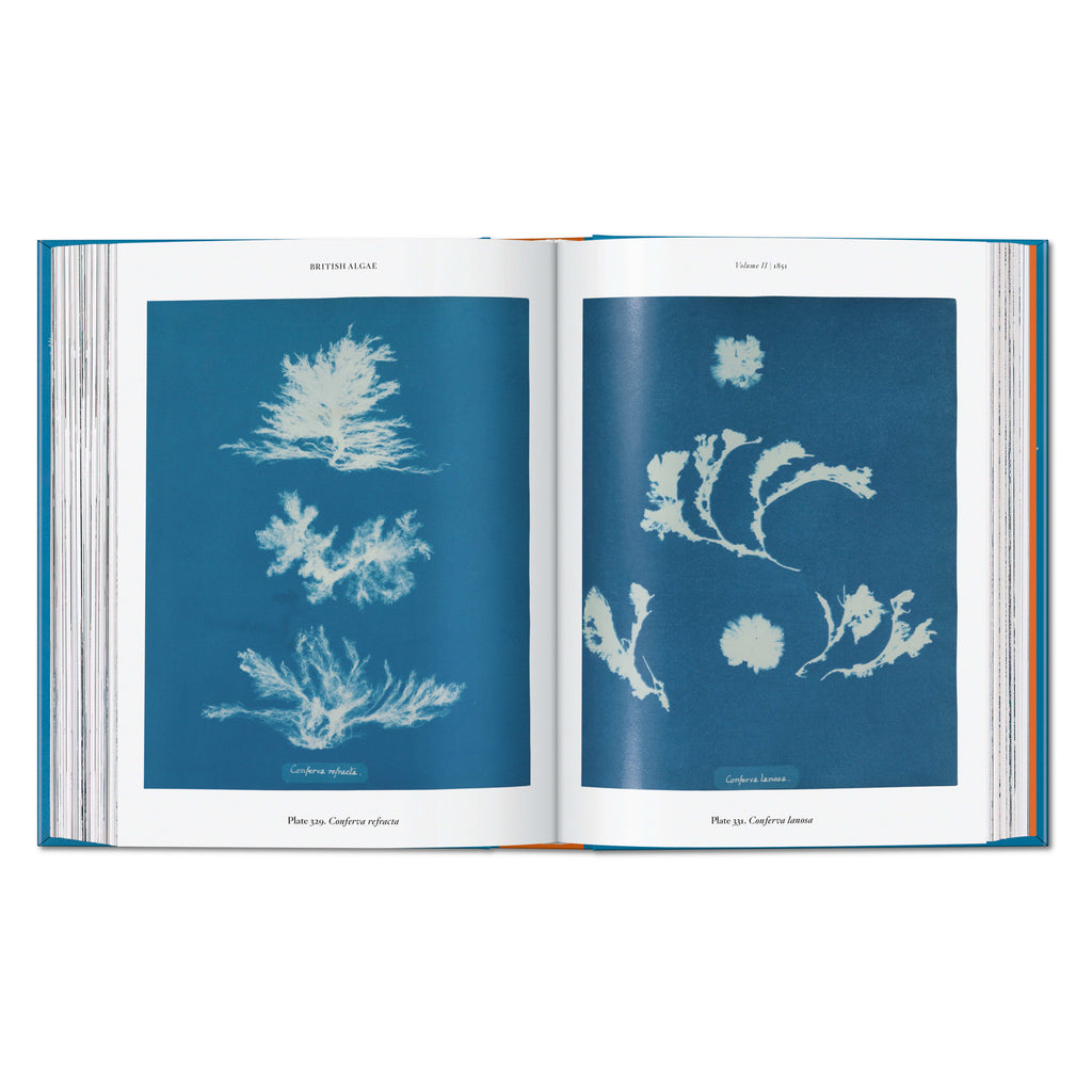 Anna Atkins. Cyanotypes: 45th Ed. (German, French, English)