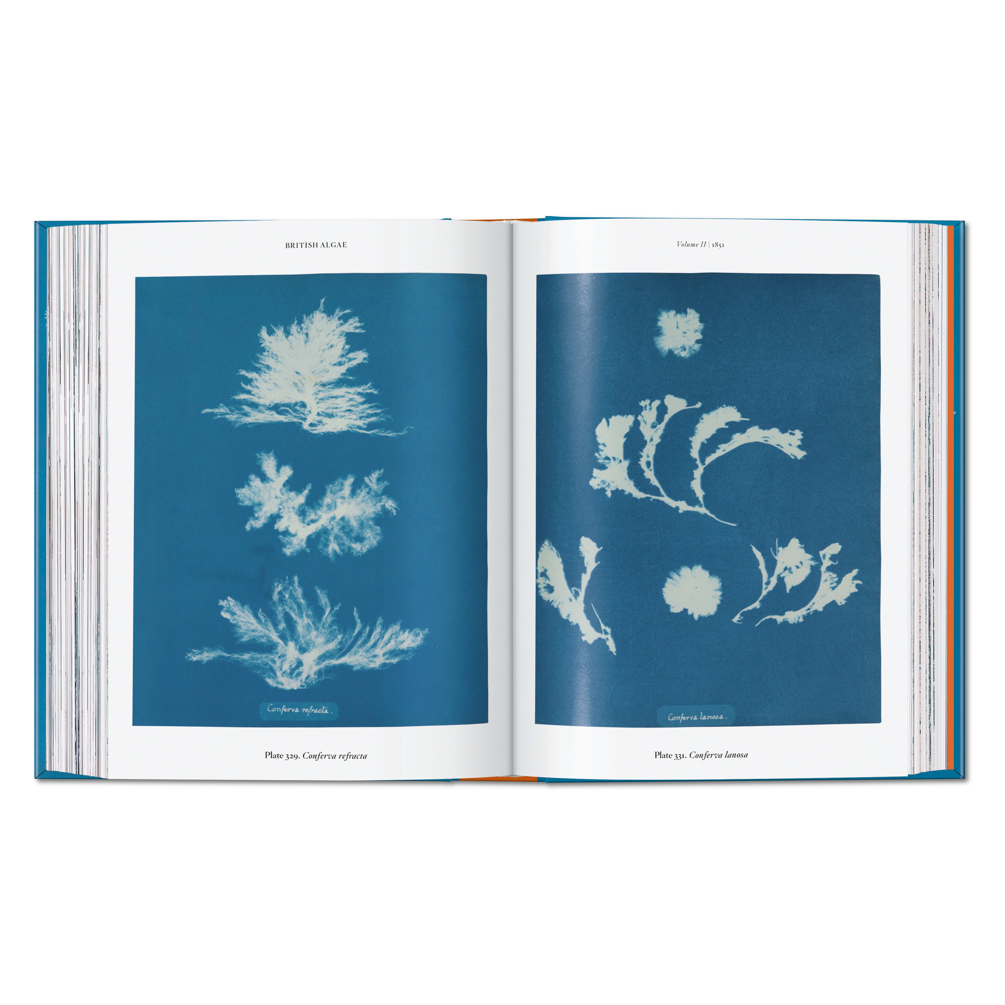 Anna Atkins. Cyanotypes: 45th Ed. (German, French, English)