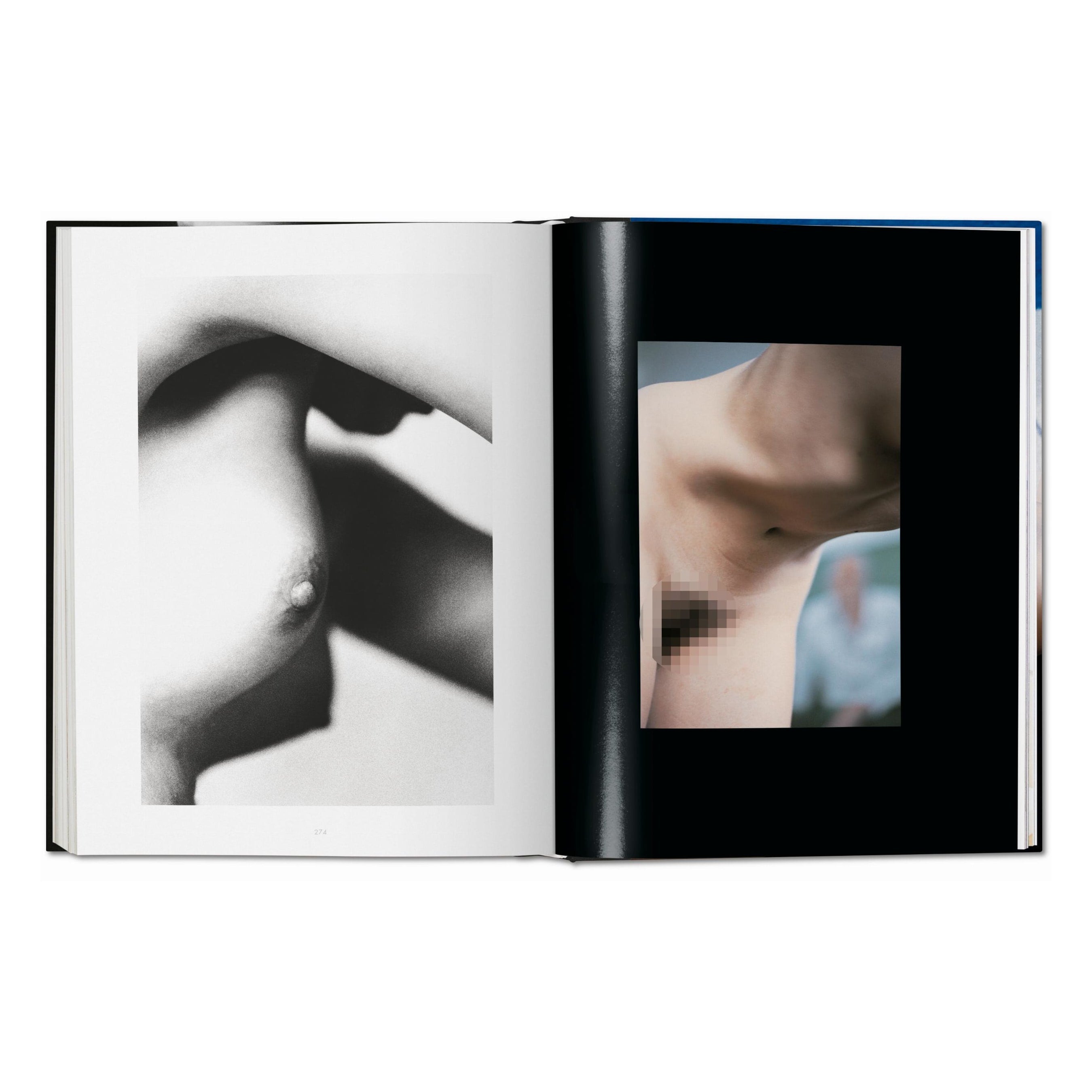 Ralph Gibson: Nude (German, French, English)