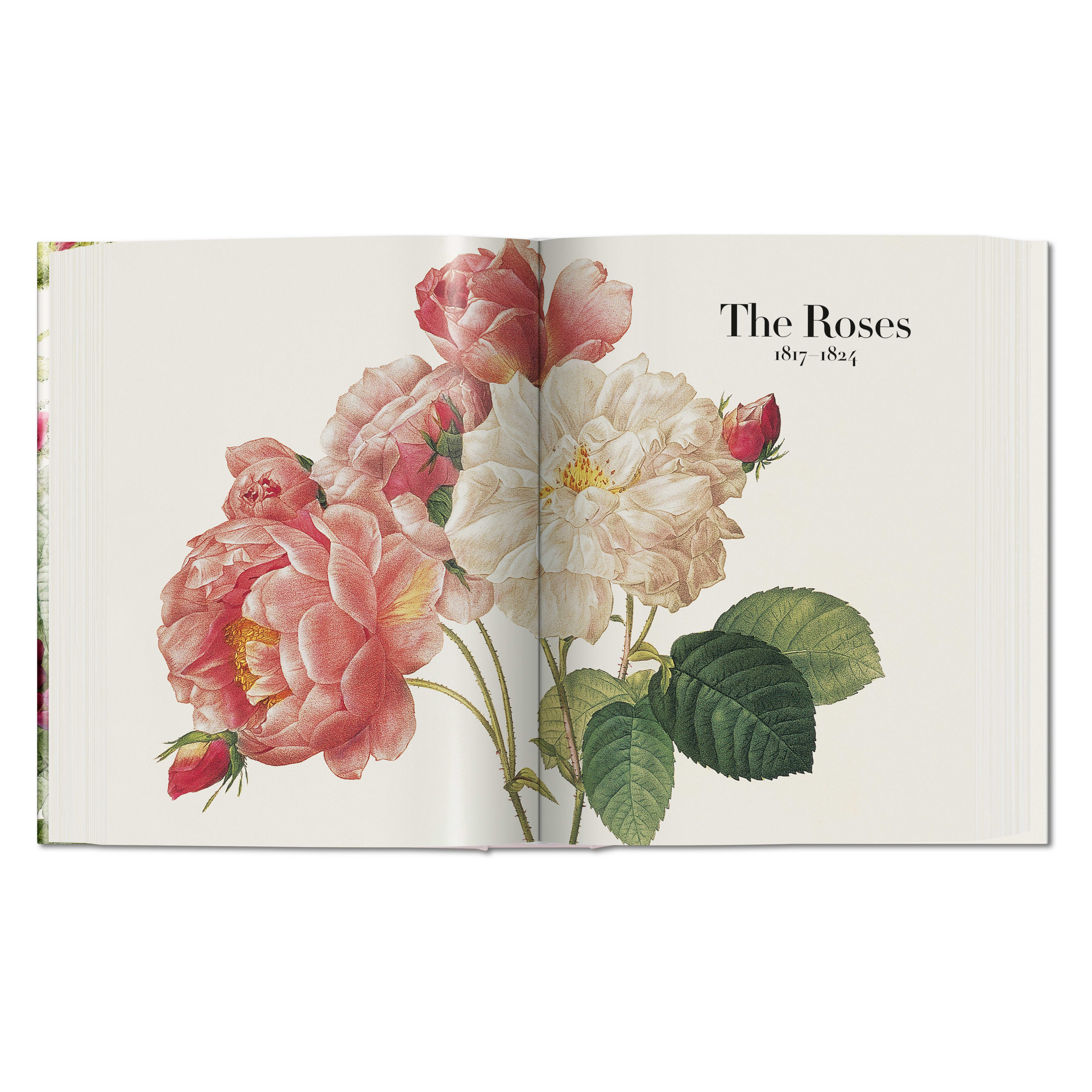 Redouté: The Book of Flowers (German, French, English)