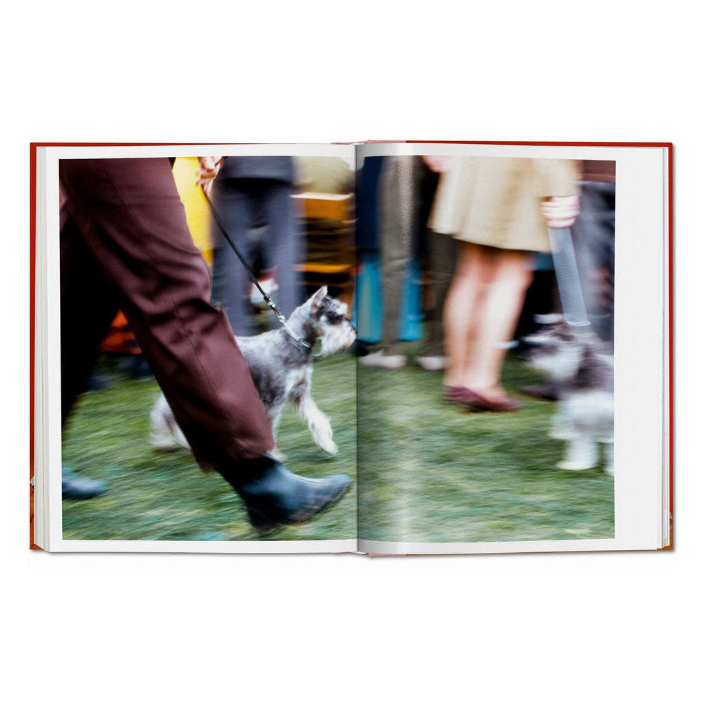 Walter Chandoha: Dogs. Photographs 1941–1991 (German, French, English)