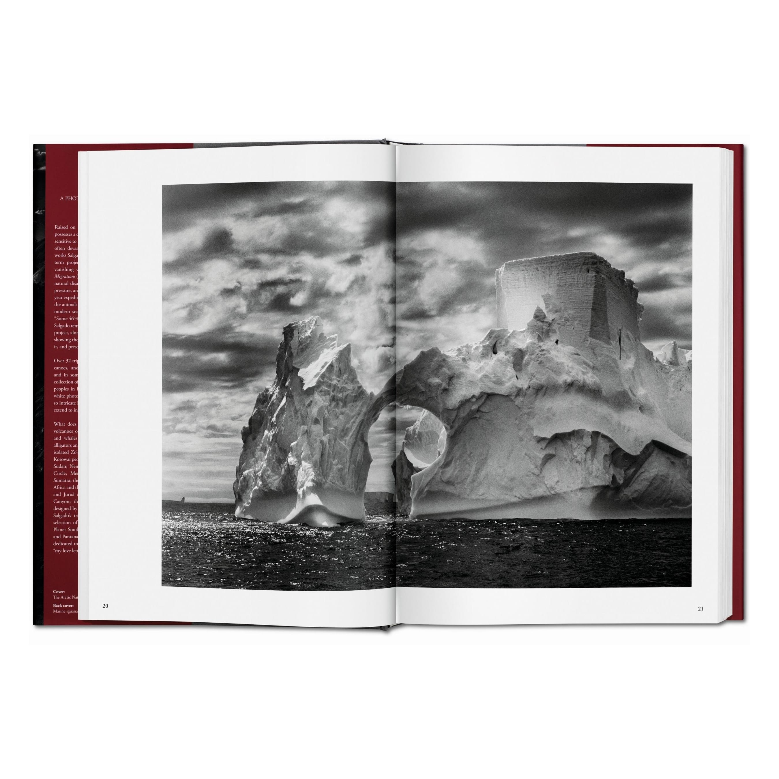 Sebastião Salgado: Genesis