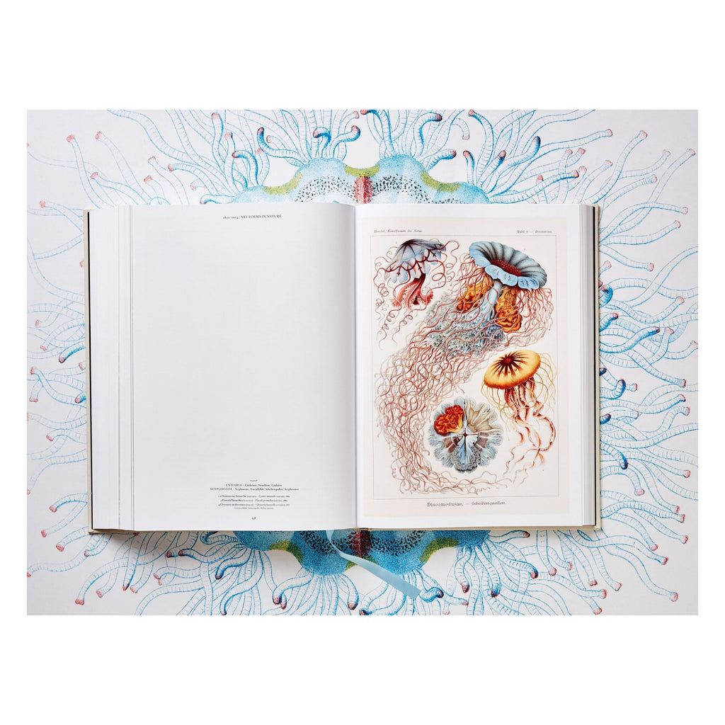 The Art and Science of Ernst Haeckel (German, French, English)