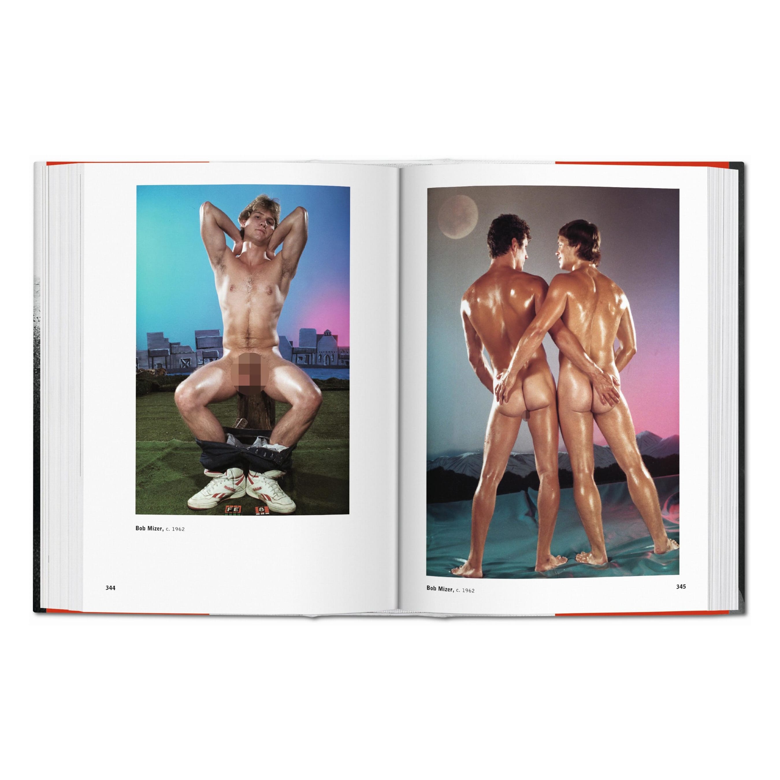 The Male Nude (German, French, English)