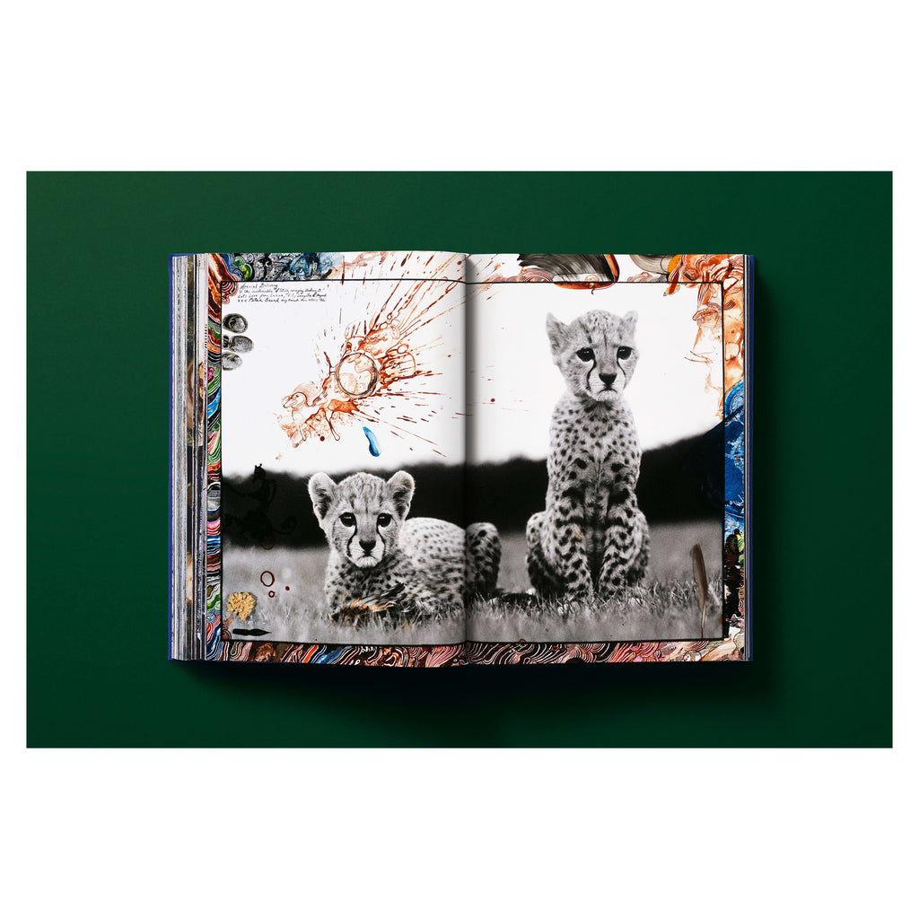 Peter Beard (German, French, English)