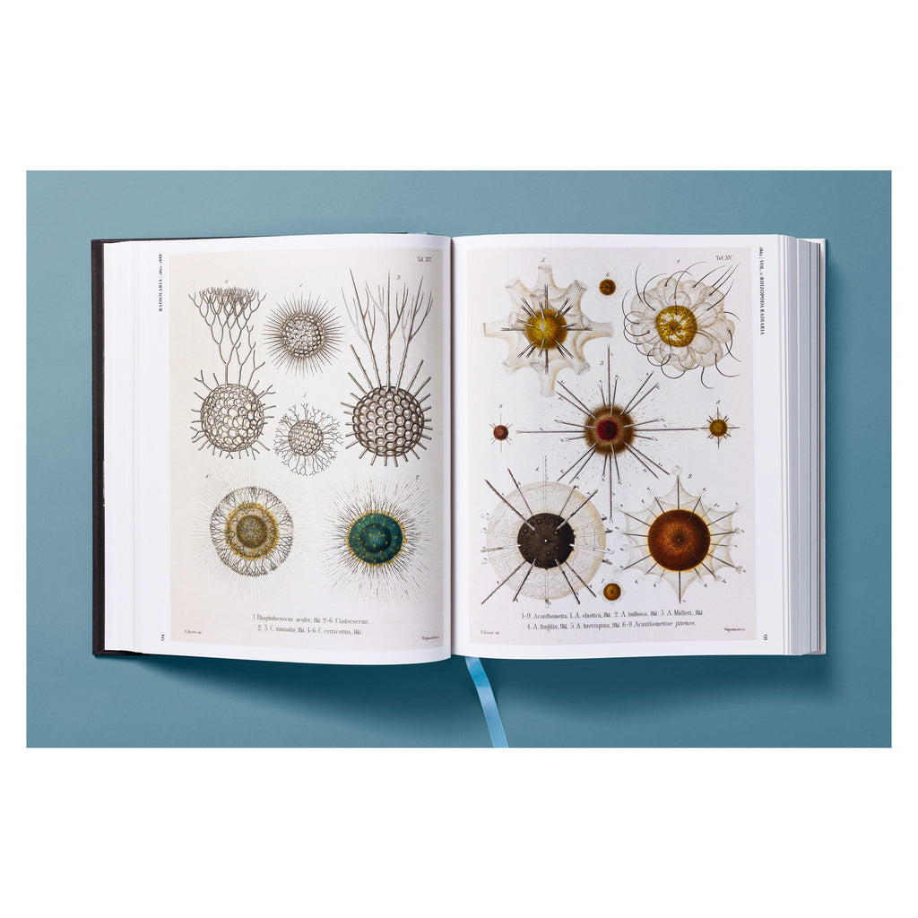 The Art and Science of Ernst Haeckel (German, French, English)