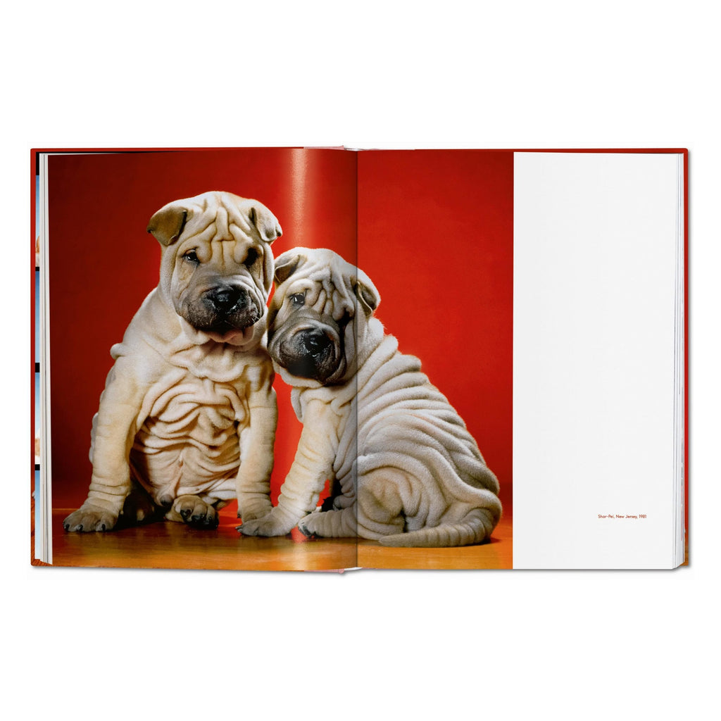Walter Chandoha: Dogs. Photographs 1941–1991 (German, French, English)