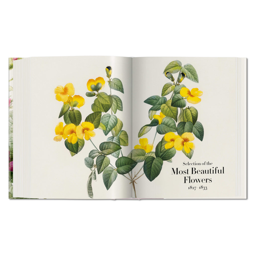 Redouté: The Book of Flowers (German, French, English)
