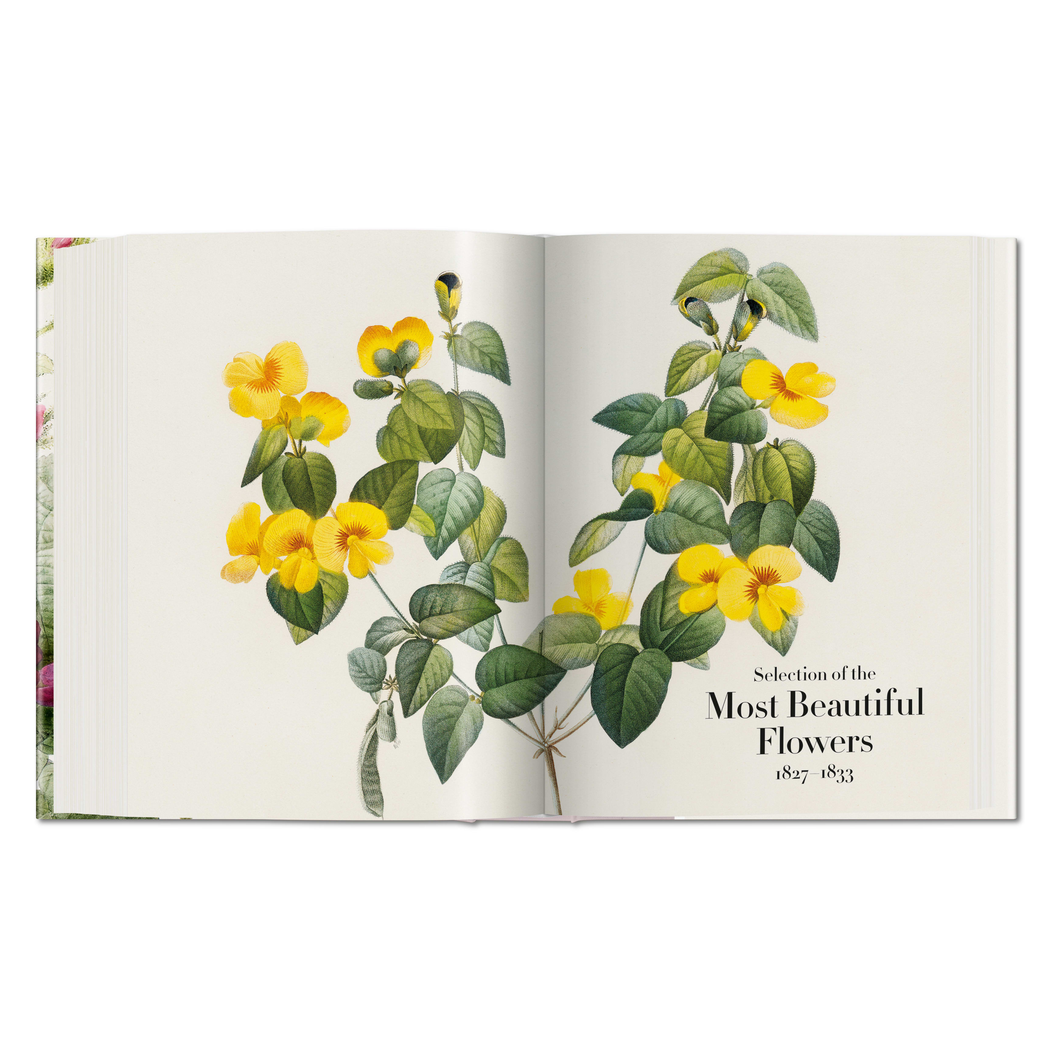 Redouté: The Book of Flowers (German, French, English)