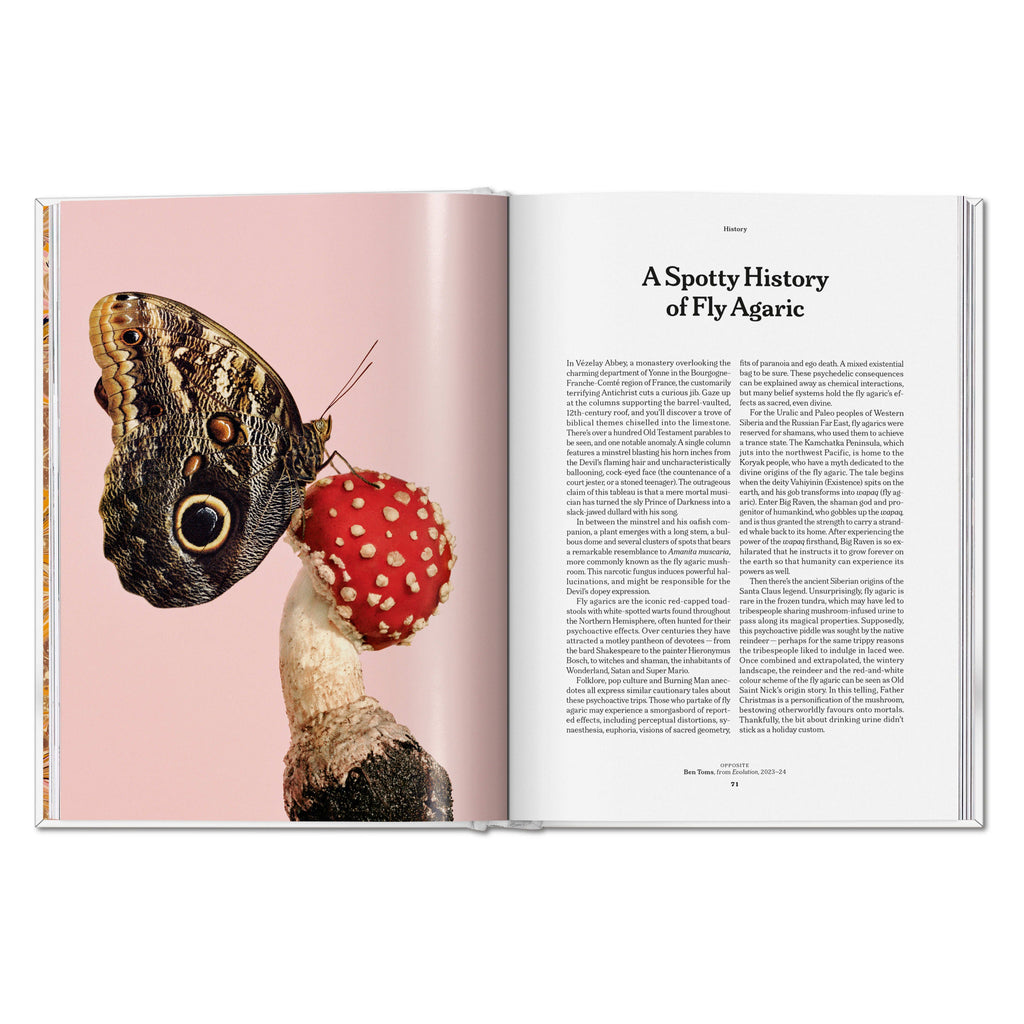 The Gourmand's Mushroom: A Collection of Stories and Recipes (English)
