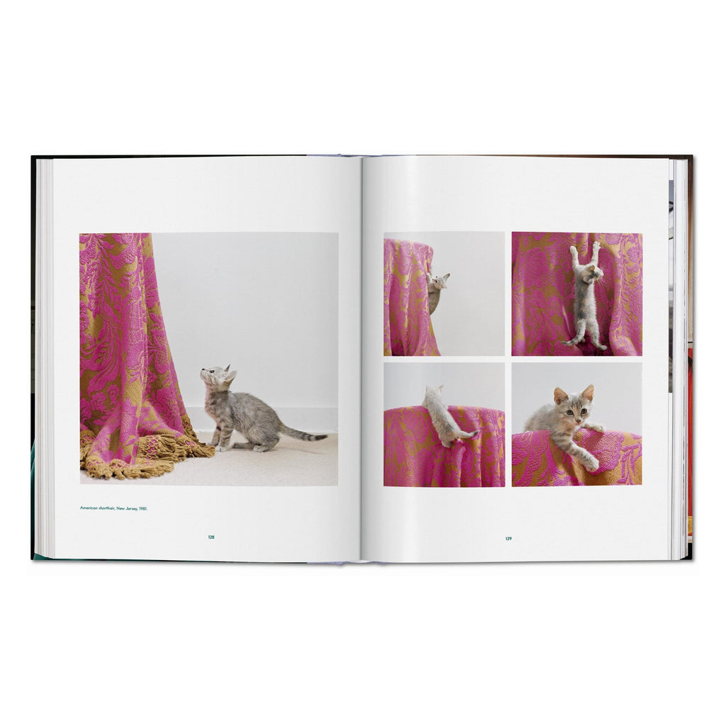 Walter Chandoha: Cats, Photographs 1942–2018 (German, French, English)