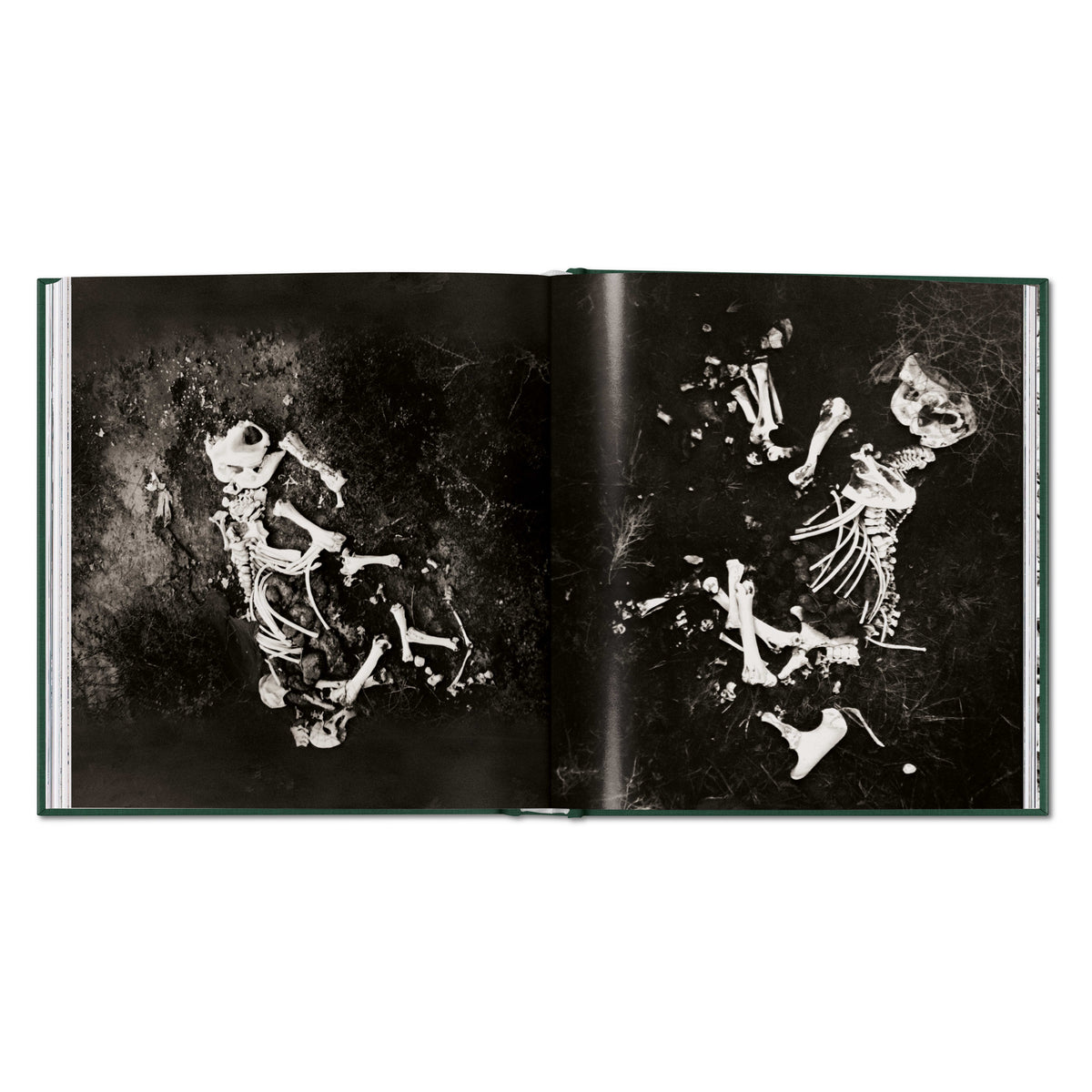 Peter Beard. The End of the Game (English)