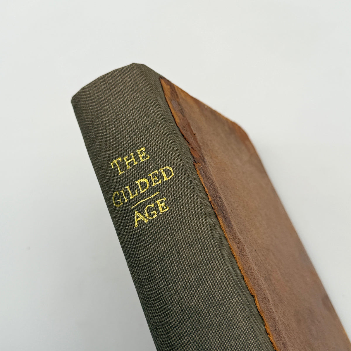 The Gilded Age: A Tale of Today