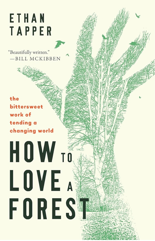How to Love a Forest by Ethan Tapper