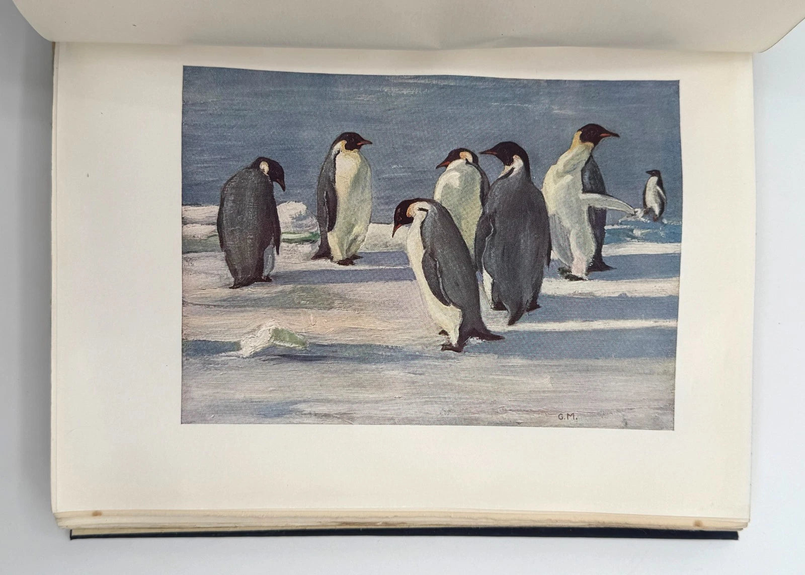 The Heart of the Antarctic (1909) — Vol. II