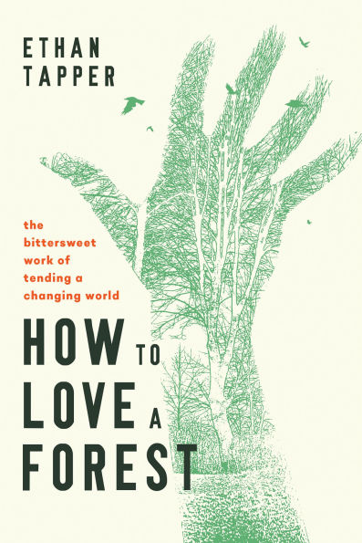 How to Love a Forest by Ethan Tapper